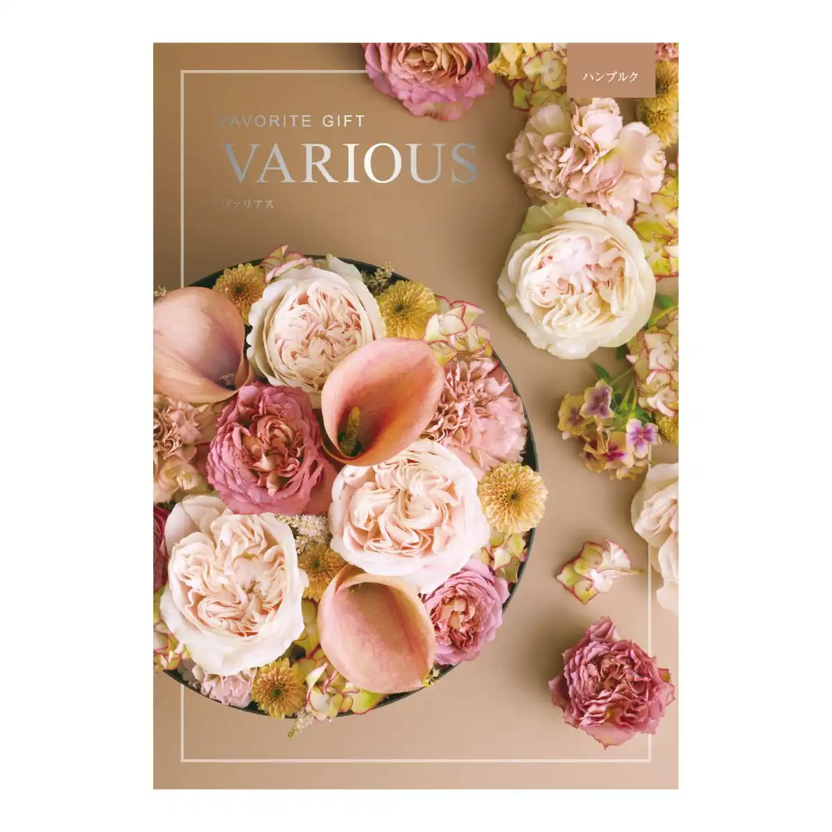 VARIOUS(ヴァリアス)