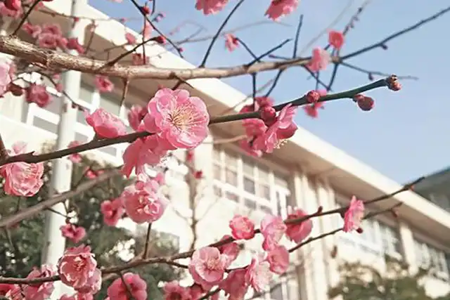 入園・入学・進学・就職のお祝いとお返しについて解説します！