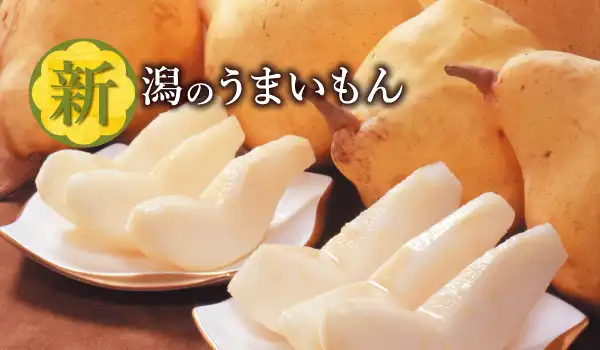 新潟のうまいもん