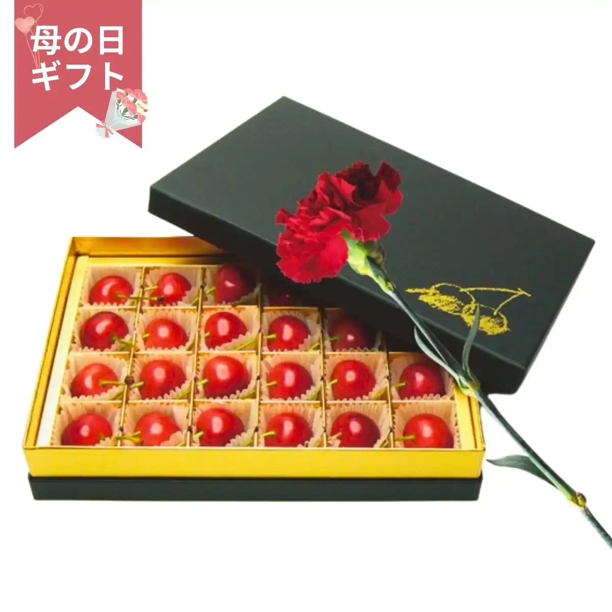 【母の日専用】山形県産ハウス佐藤錦 秀L 144g(チョコ箱) ＆カーネーション (承り期間：4月27日まで) ※メーカー直送品