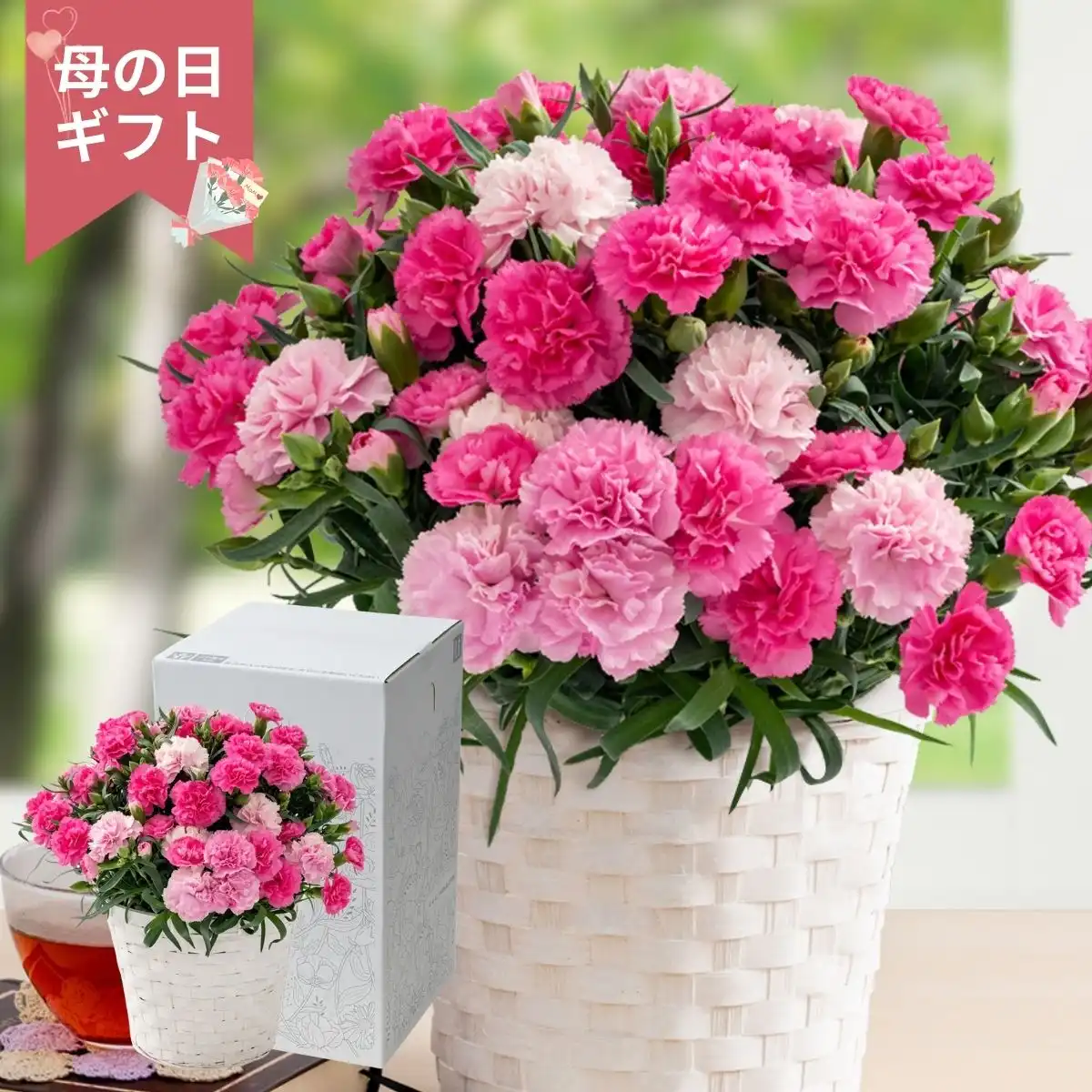 【母の日専用】ホシファーム ホットハート (承り期間：4月28日まで) ※メーカー直送品