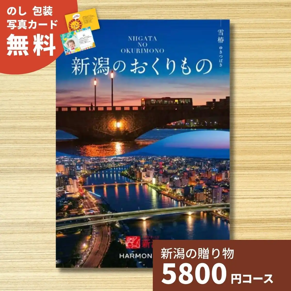 一流の品質 ﾗﾝﾄﾞﾘｰｾﾚｸﾄｷﾞﾌﾄ LST-100E 日用消耗品